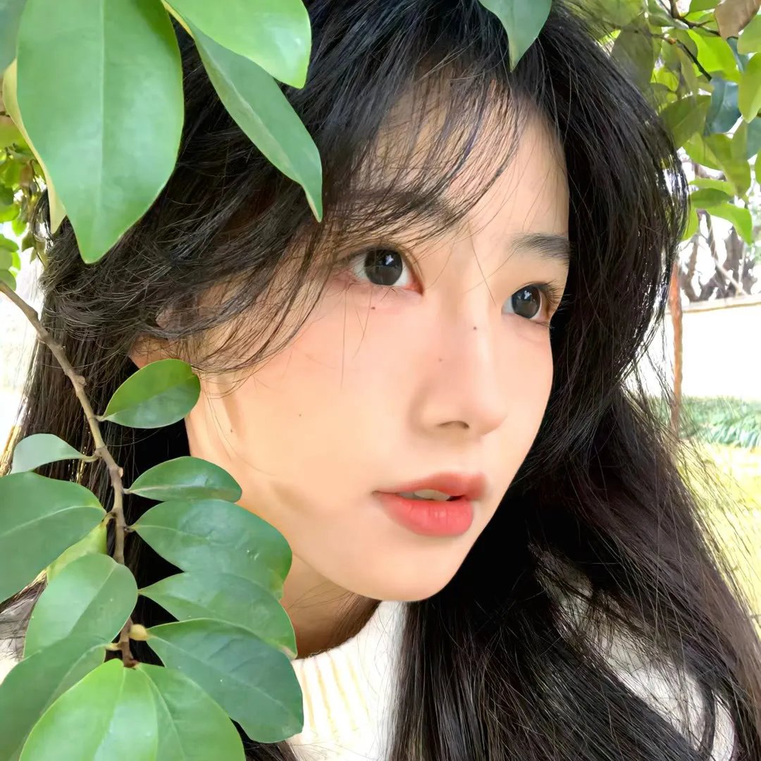 苏丹娜的梦